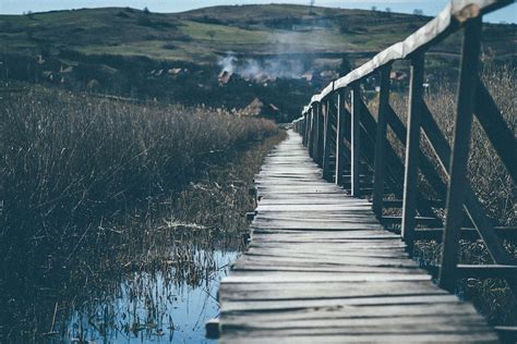 Alley Photography Of Brown Wooden Bridge · Free Stock Photo