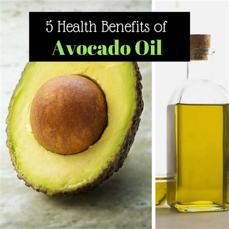 Five Health Benefits Of Avocado Oil Remedygrove