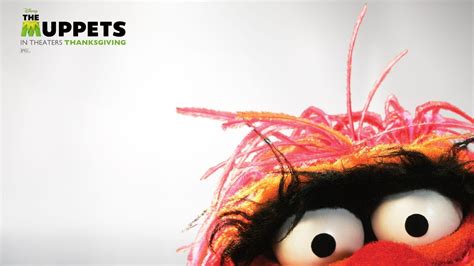 Beaker Muppets Wallpapers Wallpaper Cave