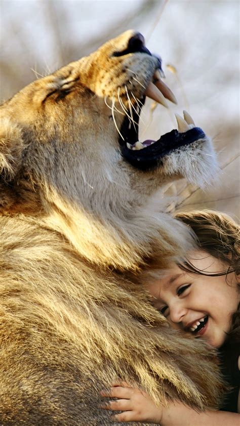 Lion 4k Wallpaper Cute Girl Cute Child Laughing