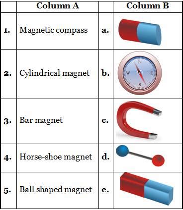 Free colorful 3rd grade worksheets. Understanding Magnets Worksheets 3Rd And 4Th Grade ...