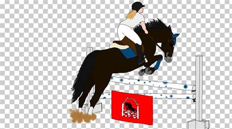 Show Jumping Stallion Hunt Seat Mustang Rein Png Clipart Animal