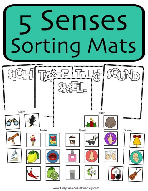 Sorting Mats Worksheets The 5 Senses Only Passionate Curiosity