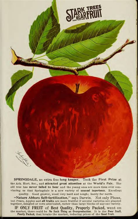 Stark Bros Nurseries And Orchards Co Stark Fruit Book131