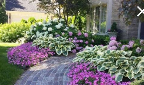 These Hydrangeas And Hostas Complement Each Other Beautifully Front