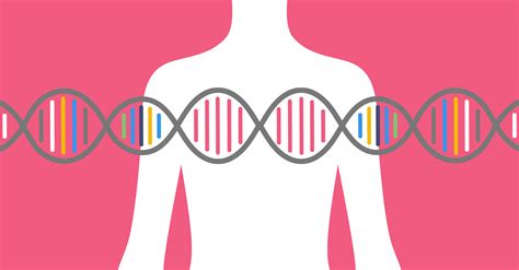 Breast Cancer Genetic Testing And Privacy By Anna Jacobson