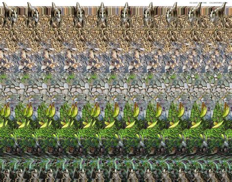 Hidden Picture In 3d Dinosaur Magic Eye Posters Magic Eye Pictures