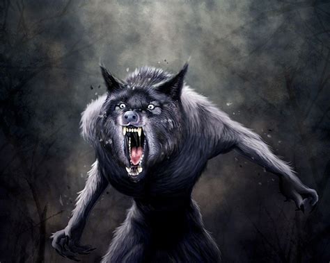 Werewolf Backgrounds Wallpaper Cave