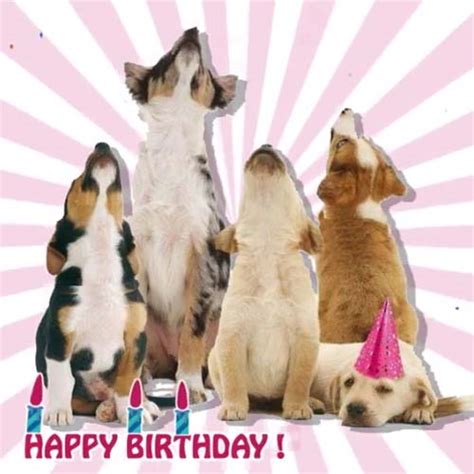 Dogs Are Singing For Your Birthday Free Happy Birthday Ecards 123