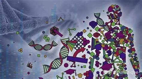 了解人类基因组计划揭开基因密码的奥秘 知乎