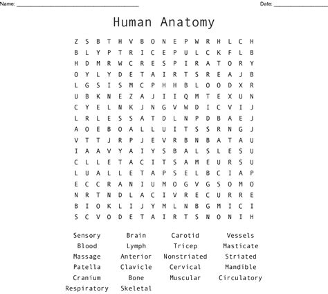 Anatomy arcade makes basic human anatomy come alive through awesome free flash games and interactives. Human Anatomy Word Search - WordMint