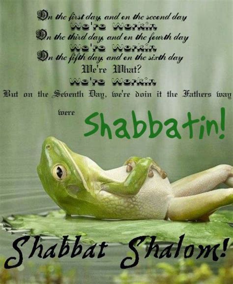 Shabbat Shalom Hilarious Funny Stuff Its Funny Funny Yoga I Smile