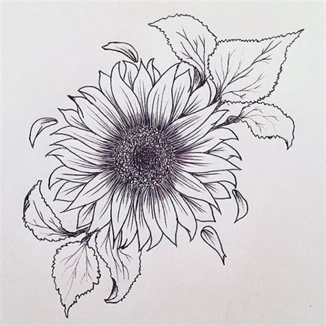 Sunflower Outline Tattoo Drawing Not A Temporary Tattoo Files Include