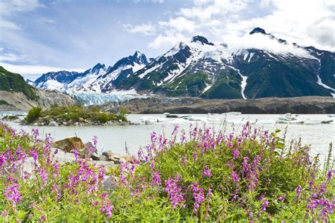 Top 10 Visitor Attractions In Alaska