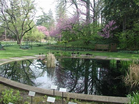 Michigan State University Wj Beal Botanical Gardens 18f Petal Talk