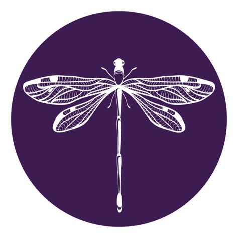 12 Dragonfly Cute Best Dragonfly Illustrations Royalty Free Vector