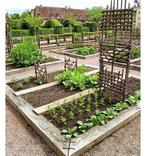 Maybe you would like to learn more about one of these? 8 Vegetable Garden Plans & Layout Ideas in 2020 ...