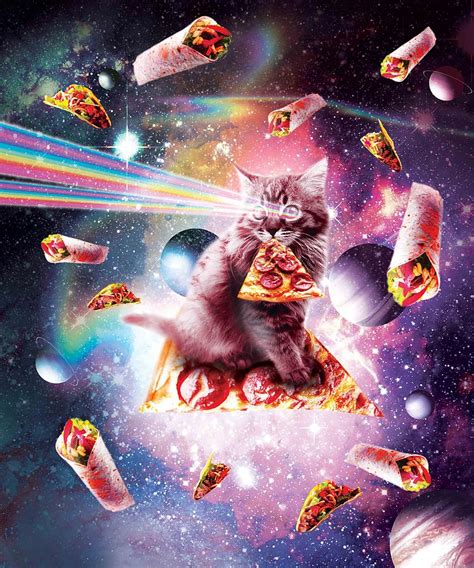 Outer Space Pizza Cat Rainbow Laser Taco Burrito Digital Art By