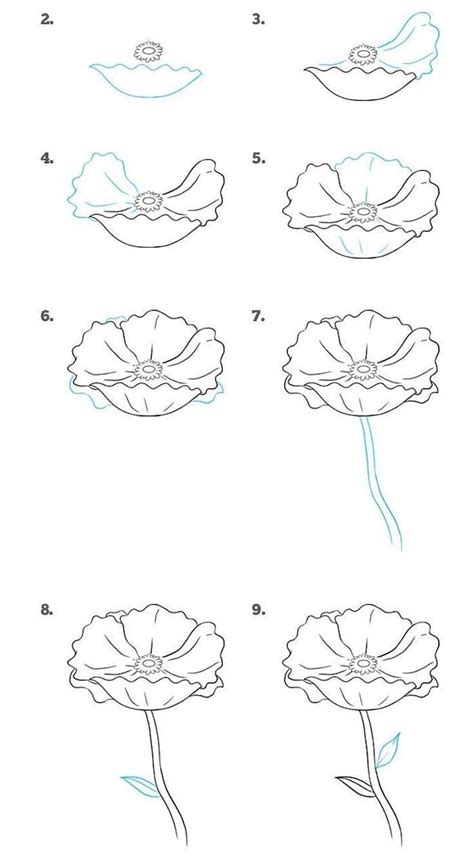 How To Draw A Flower Step By Step Drawing Diy Tutorial White Background