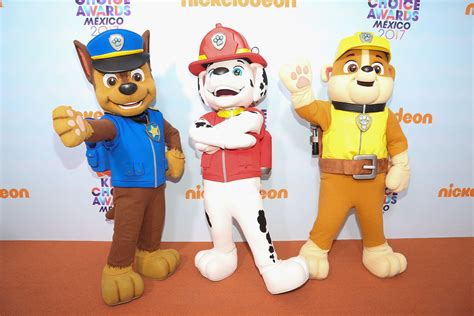 Kids Tv Meet Your Favorite Paw Patrol Characters