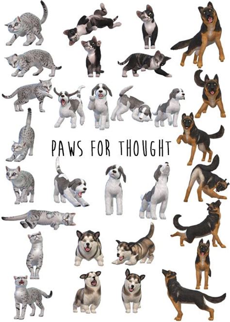 ♥ Paws For Thought ♥ Sims Pets Sims 4 Pets Sims 4 Couple Poses