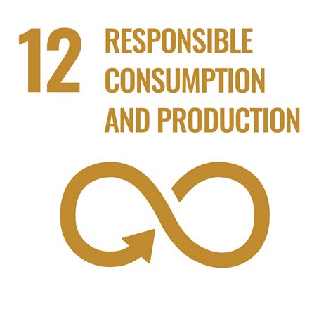 Sdg 12 Responsible Consumption And Production The Schneider Group