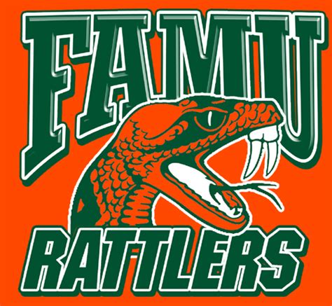 Below you can check for the latest team stats, profile info, goals scored, matches played in various basketball competitions and results, team squad statistics and historic results. FAMU women's basketball team celebrates after a big victory in 2020 | Florida state university ...