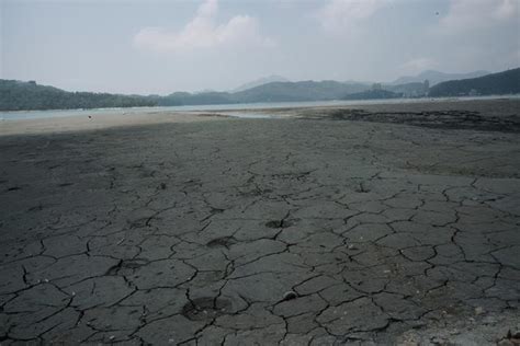 주기적으로 영상 올라오니 많이들 팔로 해주세요. 迷之操作!日月潭九蛙出水，游人爬上争当第十蛙，被眼前景象吓坏|日月潭|游人|水位_新浪新闻