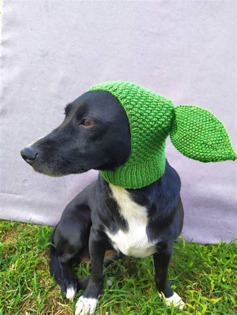 Dog Hats Knitted Hatdog Hat With Ears Hand Knitted Hat For Etsy