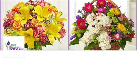Shop online at usaa.com & get up to 40% off business shipping for usaa member. 1-800-Flowers.com Promo Codes March 2021