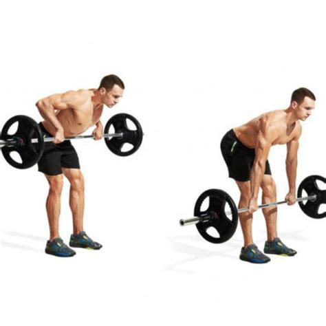 4 How To Do A Barbell Rows Trending Hutomo