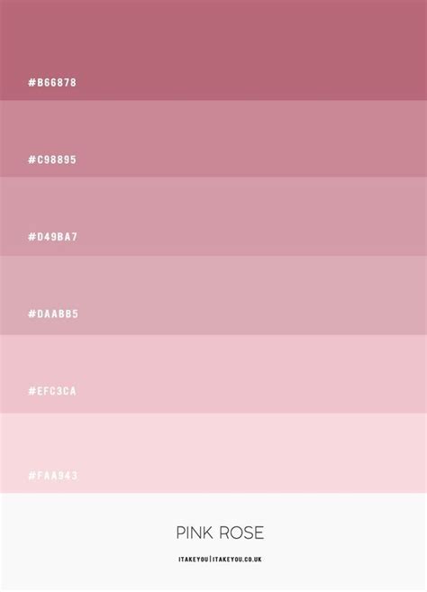 Pin By 𝓲𝓽𝓼ㅤ𝖺𝗄𝗂𝗋𝖺 On ㅤ٫ ﹙ C Pa﹚ ﹠ 𝟷 𝟿 𝟿 𝟻 · ࣪ Color Palette Pink Hex