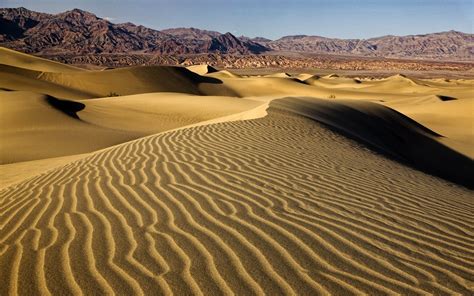 Desert Dune Wallpapers Hd Desktop And Mobile Backgrounds