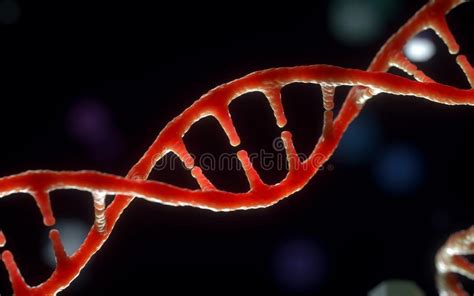 DNA Molecules Structure Of The Genetic Code D Rendering Conceptual Image Stock De