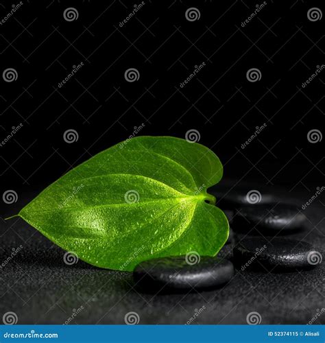 Spa Still Life Of Zen Stones And Green Leaf On Black Background Stock