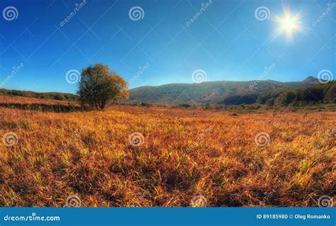 Lonely Tree On Meadow An Mountain Landscape With Sunlight Stock Photo