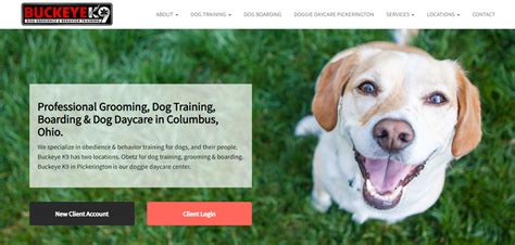 11 Best Puppy Training Classes In Columbus Ohio