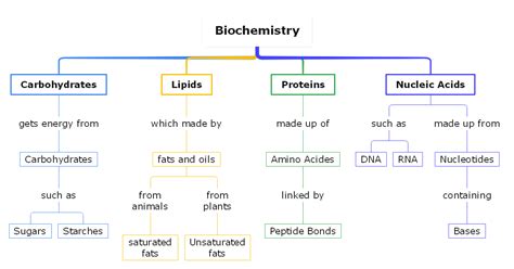 Biology Concept Map Complete Guide With 30 Examples EdrawMind
