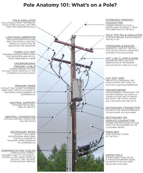 Electric Pole Anatomy 101 Rcoolguides