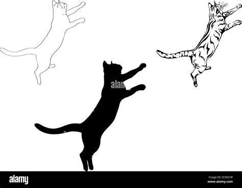 Cat Jump Different Graphic Options Image Cats Animals Illustrations