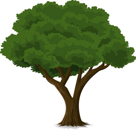 View Vector Png Tree