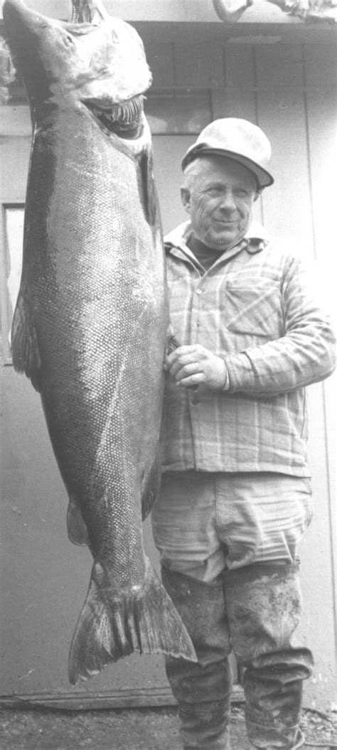 World Record Salmon Soldotna Chamber Of Commerce