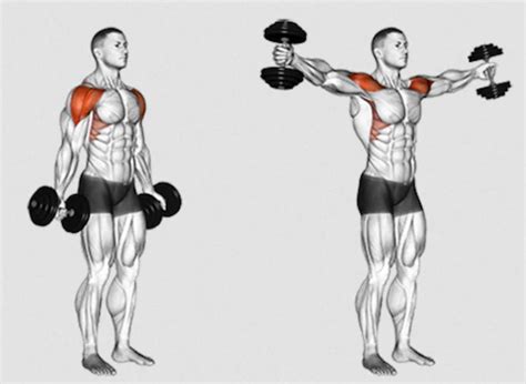 Scaption The Ultimate Shoulder Exercise