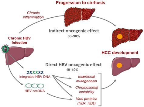 Jcm Free Full Text Genomics Of Viral Hepatitis Associated Liver Tumors