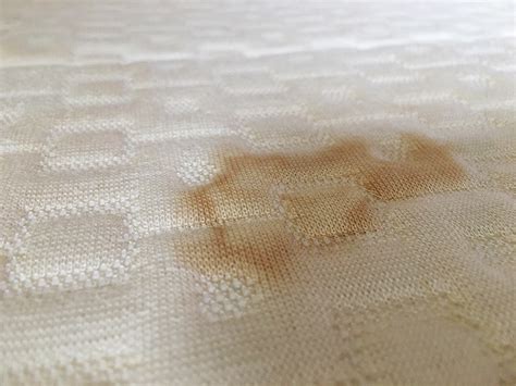 Make a solution for cleaning. Get stains out of mattress. How to Easily Remove Old Pee ...