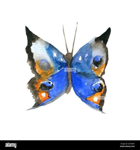 Watercolor Butterfly Set Watercolor Painting For Your Design Stock