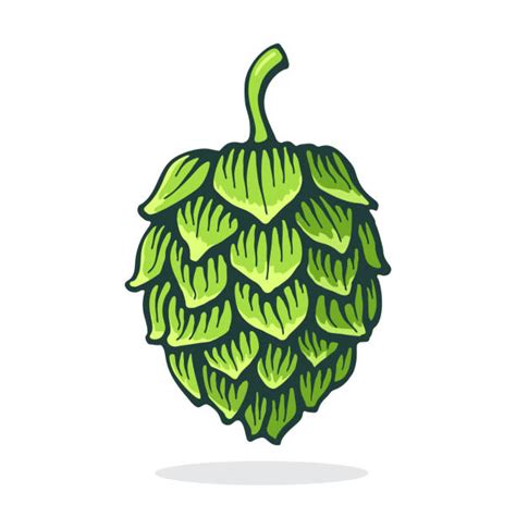 Cartoon Of A Hops Beer Illustrations Royalty Free Vector Graphics