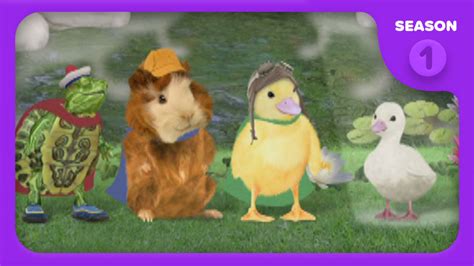 Noggin Wonder Pets