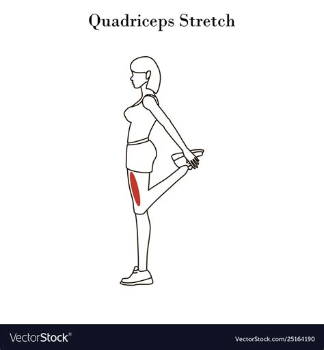 Quadriceps Stretch Exercise Outline Royalty Free Vector