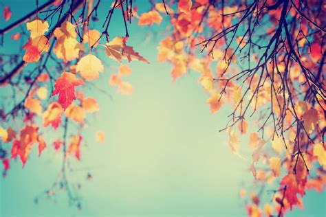 6 Autumn Themes For Your Next Event